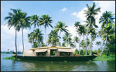 alleppey