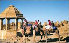 rajasthan wildlife safari