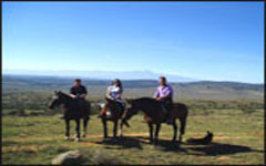 Horse Safari in India